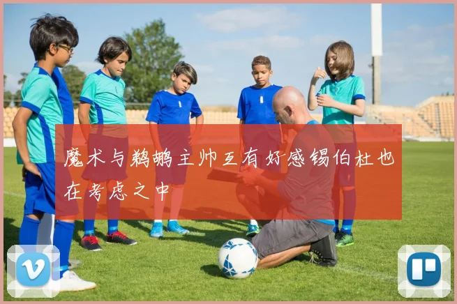 魔术与鹈鹕主帅互有好感锡伯杜也在考虑之中